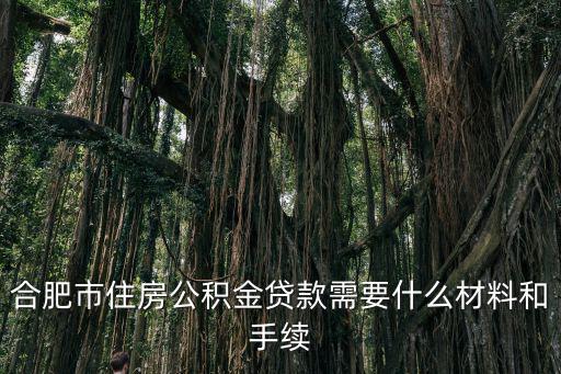 合肥市住房公積金貸款需要什么材料和手續(xù)