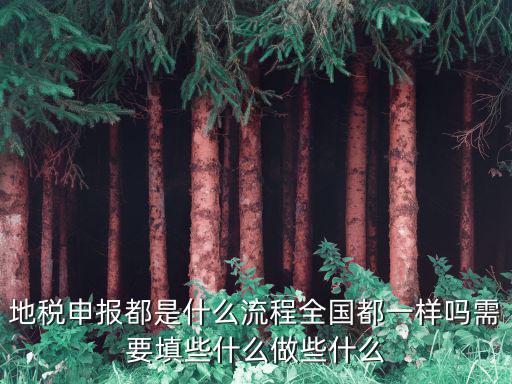 地稅申報都是什么流程全國都一樣嗎需要填些什么做些什么