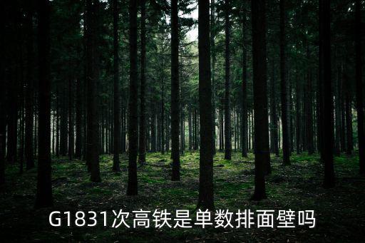 g1831，G1831次高鐵是單數排面壁嗎
