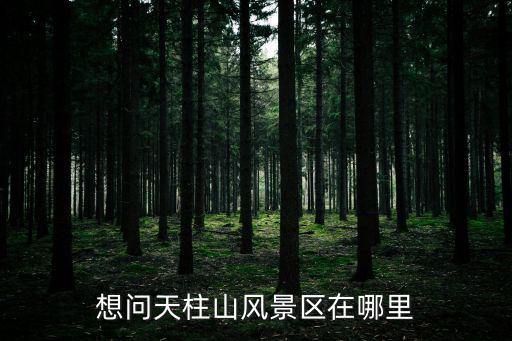 想問天柱山風景區(qū)在哪里