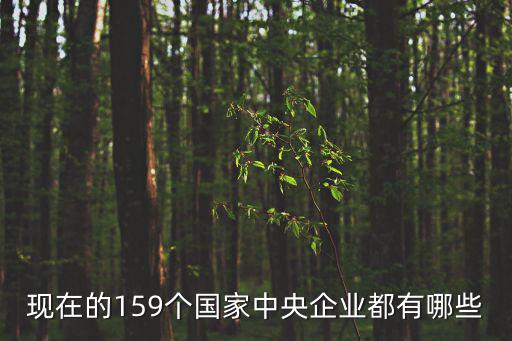 現在的159個國家中央企業都有哪些
