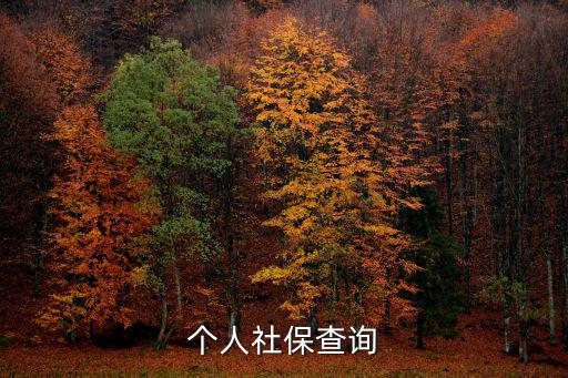個人社保查詢