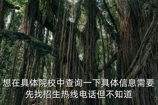 學校招生電話，想在具體院校中查詢一下具體信息需要先找招生熱線電話但不知道