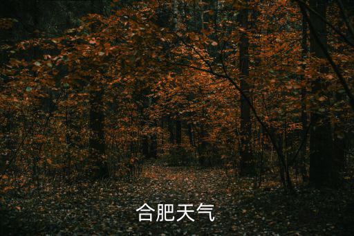 合肥天氣