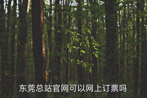 東莞總站官網可以網上訂票嗎