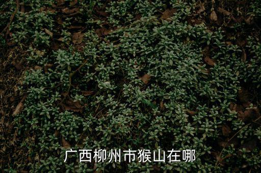 廣西柳州市猴山在哪