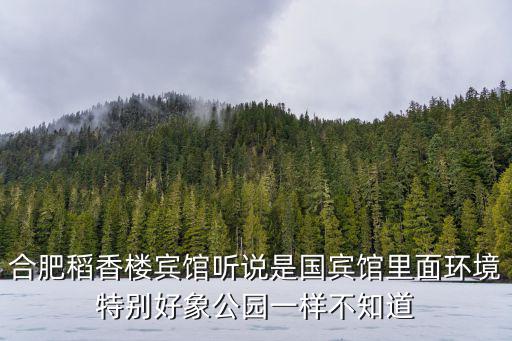 合肥稻香樓賓館聽說是國賓館里面環境特別好象公園一樣不知道
