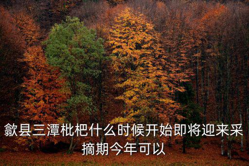 歙縣三潭枇杷什么時(shí)候開(kāi)始即將迎來(lái)采摘期今年可以