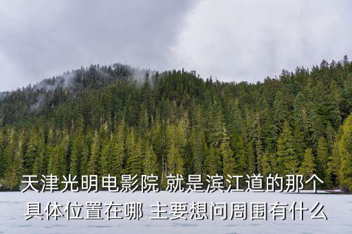 天津光明電影院 就是濱江道的那個 具體位置在哪 主要想問周圍有什么