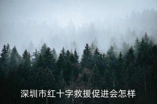 深圳市紅十字救援促進會怎樣