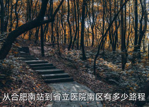 從合肥南站到省立醫院南區有多少路程