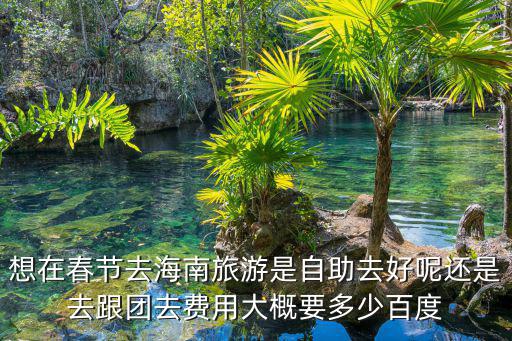 想在春節去海南旅游是自助去好呢還是去跟團去費用大概要多少百度