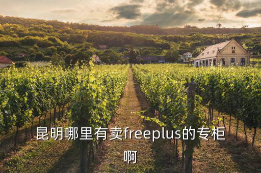 昆明吾悅廣場，昆明吾悅廣場