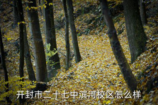 二十七中，開封市二十七中濱河校區怎么樣