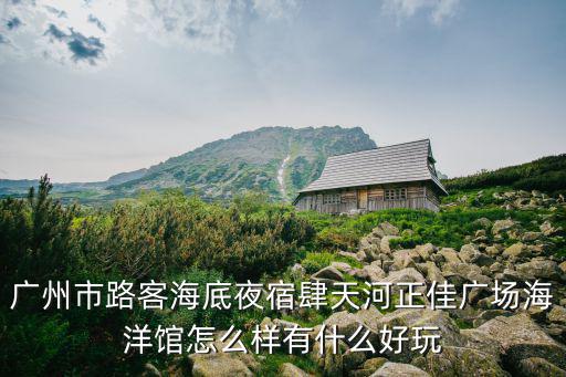 廣州市路客海底夜宿肆天河正佳廣場海洋館怎么樣有什么好玩