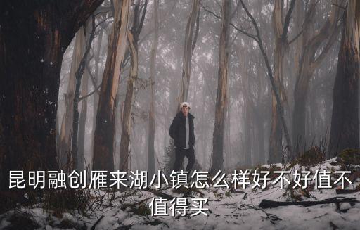 昆明融創，昆明融創雁來湖小鎮怎么樣好不好值不值得買