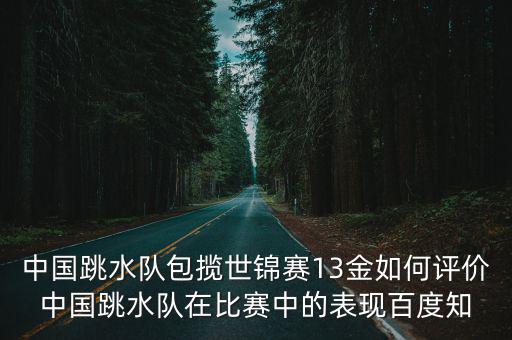 中國跳水隊包攬世錦賽13金如何評價中國跳水隊在比賽中的表現百度知