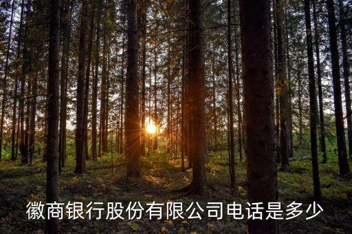 徽商銀行股份有限公司電話是多少