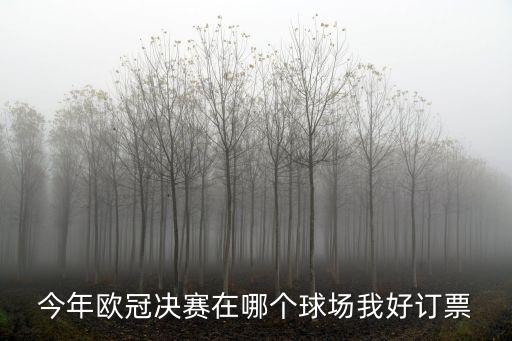 今年歐冠決賽在哪個球場我好訂票