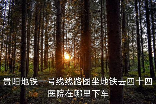 貴陽地鐵一號線線路圖坐地鐵去四十四醫院在哪里下車