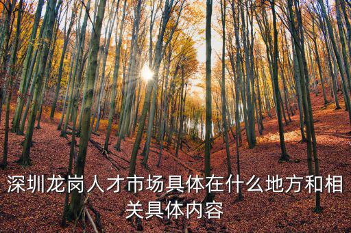 深圳龍崗人才市場具體在什么地方和相關(guān)具體內(nèi)容