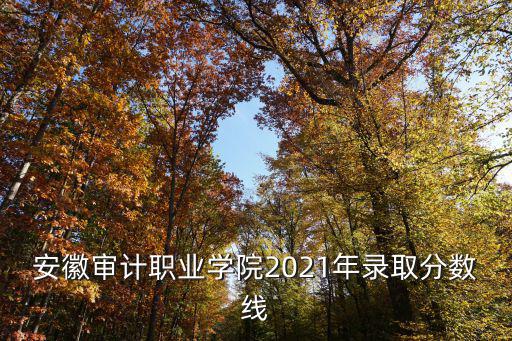 安徽審計職業(yè)學院2021年錄取分數線