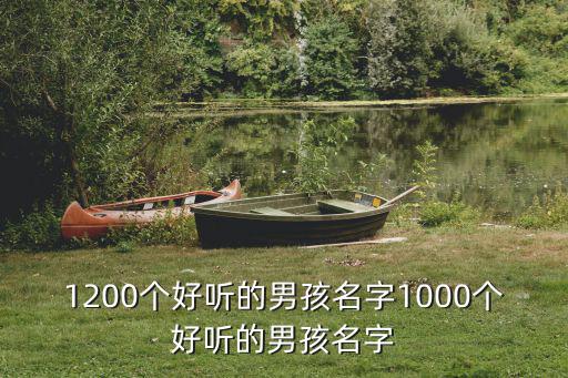 1200個好聽的男孩名字1000個好聽的男孩名字