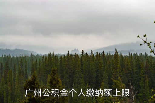 公積金繳納上限，公積金繳存上限上調至4170元 繳存比例仍為12什么意思