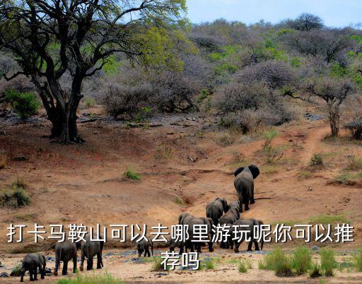 打卡馬鞍山可以去哪里游玩呢你可以推薦嗎