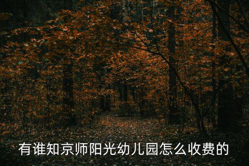 有誰知京師陽光幼兒園怎么收費的