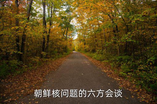 朝鮮核問題的六方會談