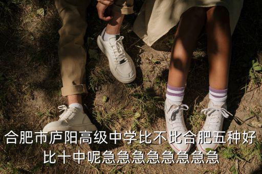 合肥市廬陽高級中學，合肥市廬陽高級中學比不比合肥五種好比十中呢急急急急急急急急
