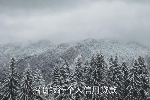 招商銀行個人信用貸款