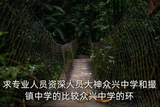 求專業人員資深人員大神眾興中學和撮鎮中學的比較眾興中學的環