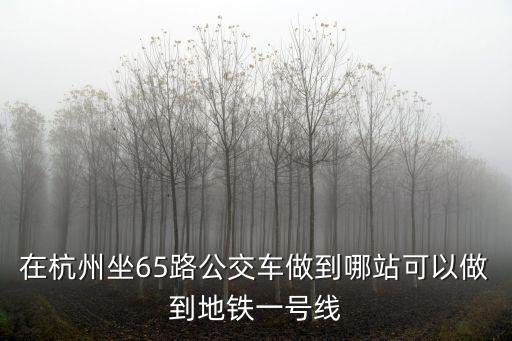 65路，在杭州坐65路公交車做到哪站可以做到地鐵一號線