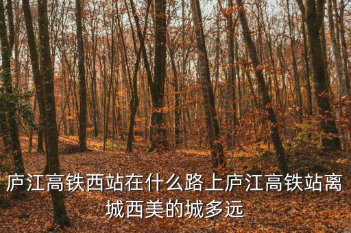 廬江高鐵西站在什么路上廬江高鐵站離城西美的城多遠(yuǎn)