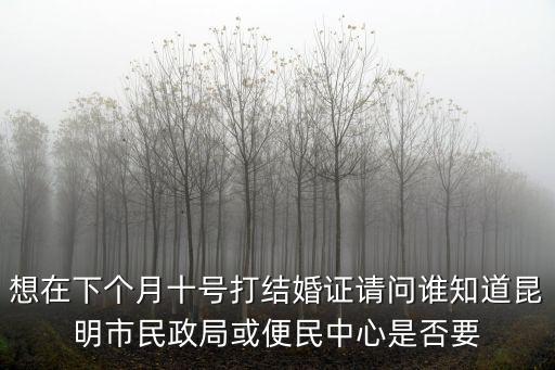 想在下個月十號打結婚證請問誰知道昆明市民政局或便民中心是否要