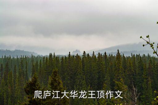 爬廬江大華龍王頂作文