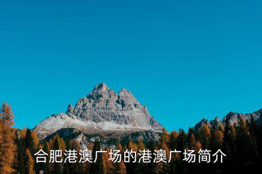合肥港澳廣場的港澳廣場簡介