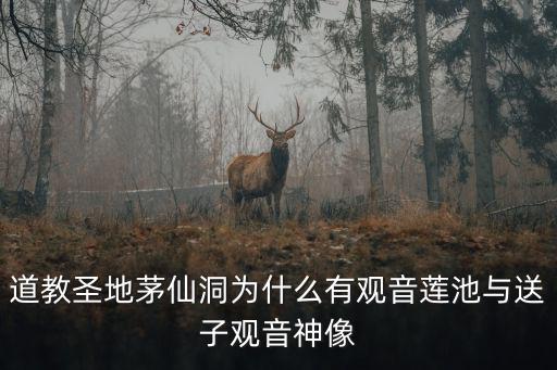 道教圣地茅仙洞為什么有觀音蓮池與送子觀音神像