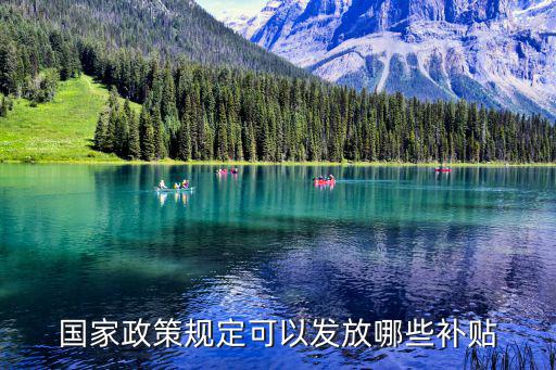 國家補(bǔ)貼政策，國家政策規(guī)定可以發(fā)放哪些補(bǔ)貼