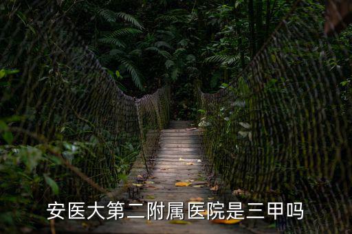 安醫大第二附屬醫院是三甲嗎