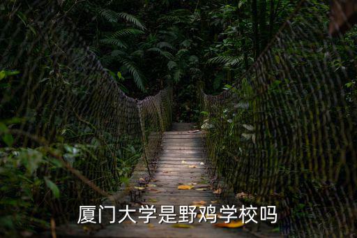 廈門大學是野雞學校嗎