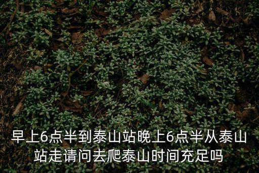早上6點半到泰山站晚上6點半從泰山站走請問去爬泰山時間充足嗎