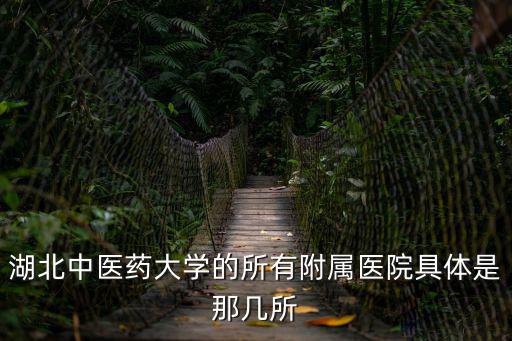 湖北中醫(yī)藥大學(xué)的所有附屬醫(yī)院具體是那幾所