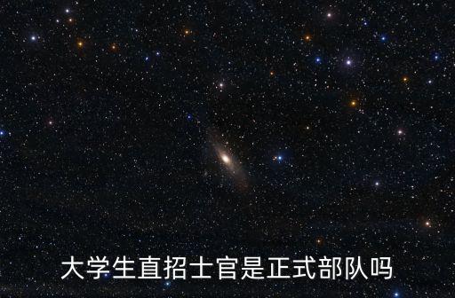 大學生直招士官是正式部隊嗎