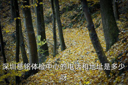 深圳慈銘體檢中心的電話和地址是多少呀