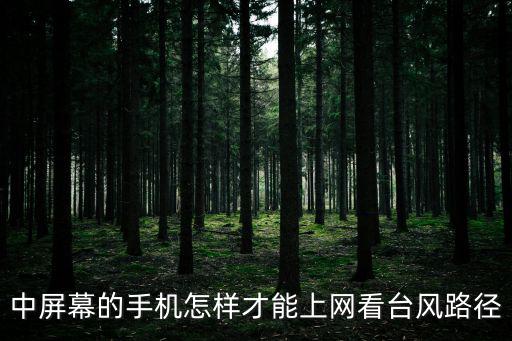 中屏幕的手機怎樣才能上網看臺風路徑