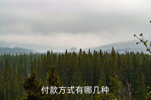 付款方式有哪幾種