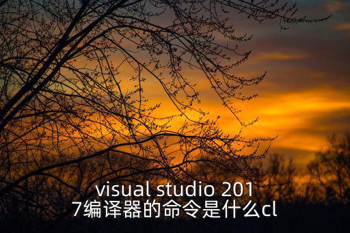 visual studio 2017編譯器的命令是什么cl